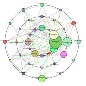 Affordable engine optimization search